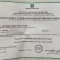 Ingrandire l'immagine: certificate 3
