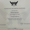 Ingrandire l'immagine: certificate 7