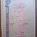 Ingrandire l'immagine: certificate 1