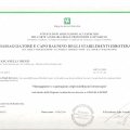 Ingrandire l'immagine: certificate 3