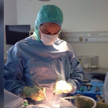 Ingrandire l'immagine: Giuseppe Toro, ortopedico Napoli