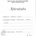 Ingrandire l'immagine: certificate 28