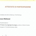 Ingrandire l'immagine: certificate 33