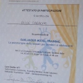 Ingrandire l'immagine: certificate 3