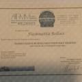 Ingrandire l'immagine: certificate 2