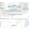 Ingrandire l'immagine: certificate 7