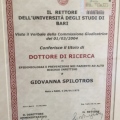 Ingrandire l'immagine: certificate 3