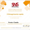 Ingrandire l'immagine: certificate 2