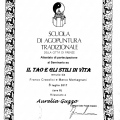 Ingrandire l'immagine: certificate 9