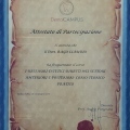 Ingrandire l'immagine: certificate 8