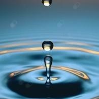 Ingrandire l'immagine: Anna Volpe, psicologo Firenze