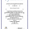 Ingrandire l'immagine: certificate 6