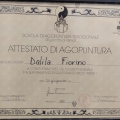 Ingrandire l'immagine: certificate 3