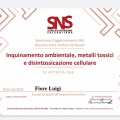 Ingrandire l'immagine: certificate 4