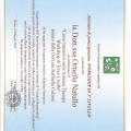 Ingrandire l'immagine: certificate 8