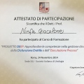Ingrandire l'immagine: certificate 4