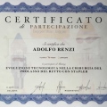Ingrandire l'immagine: certificate 33