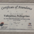 Ingrandire l'immagine: certificate 2