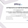 Ingrandire l'immagine: certificate 3
