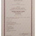 Ingrandire l'immagine: certificate 7