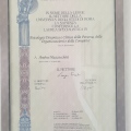 Ingrandire l'immagine: certificate 4