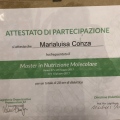 Ingrandire l'immagine: certificate 2