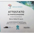 Ingrandire l'immagine: certificate 20
