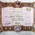 Ingrandire l'immagine: certificate 1