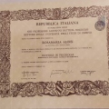 Ingrandire l'immagine: certificate 1