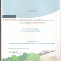 Ingrandire l'immagine: certificate 11