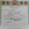 Ingrandire l'immagine: certificate 1