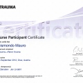 Ingrandire l'immagine: certificate 2