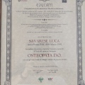 Ingrandire l'immagine: certificate 2