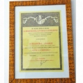 Ingrandire l'immagine: certificate 4