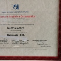 Ingrandire l'immagine: certificate 4