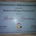 Ingrandire l'immagine: certificate 5