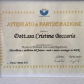 Ingrandire l'immagine: certificate 2