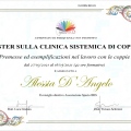Ingrandire l'immagine: certificate 1