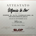 Ingrandire l'immagine: certificate 2