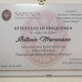 Ingrandire l'immagine: certificate 2
