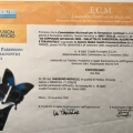 Ingrandire l'immagine: certificate 1