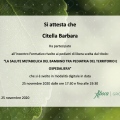 Ingrandire l'immagine: certificate 4