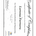 Ingrandire l'immagine: certificate 18
