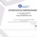 Ingrandire l'immagine: certificate 1