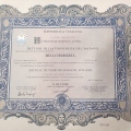 Ingrandire l'immagine: certificate 1