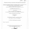 Ingrandire l'immagine: certificate 11