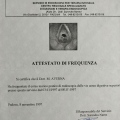 Ingrandire l'immagine: certificate 8
