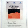 Ingrandire l'immagine: certificate 29