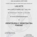 Ingrandire l'immagine: certificate 2