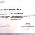 Ingrandire l'immagine: certificate 38